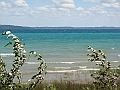 Western Michigan [2010] 553